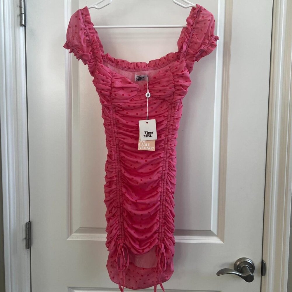 Tiger Mist Women's Pink and Red Floral Mesh Mini Dress - Size XS